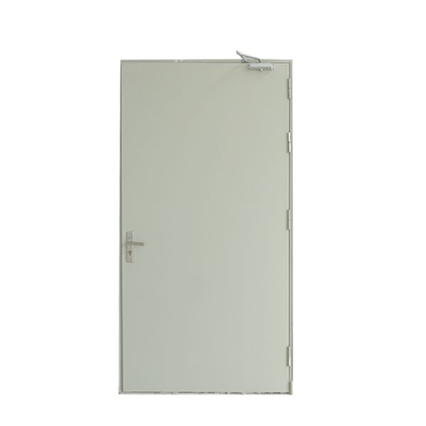 Cửa chống cháy 1 cánh Sky Light