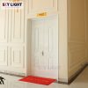 cửa thép chống cháy 2 cánh dập huỳnh sơn tĩnh điện sky light